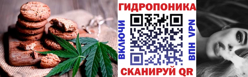 где продают наркотики  Рошаль  это состав  Еда ТГК марихуана 