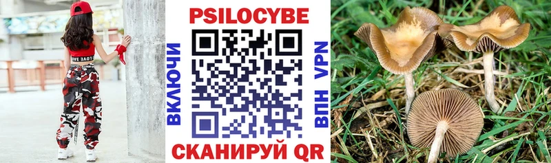 Псилоцибиновые грибы ЛСД Рошаль